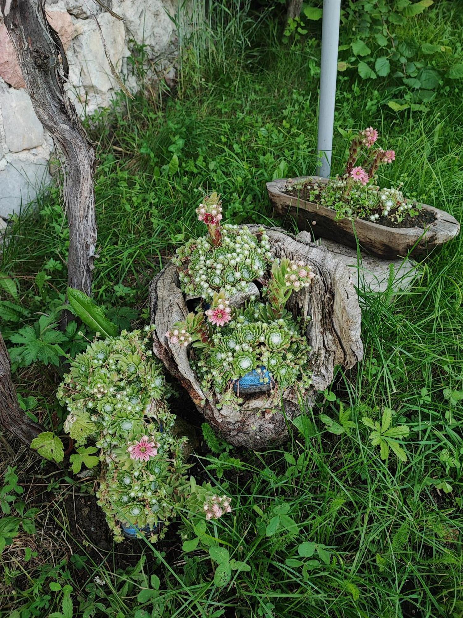 Hotel Etno Vodenica Cirovic - Ethno Watermill Pljevlja Exterior foto