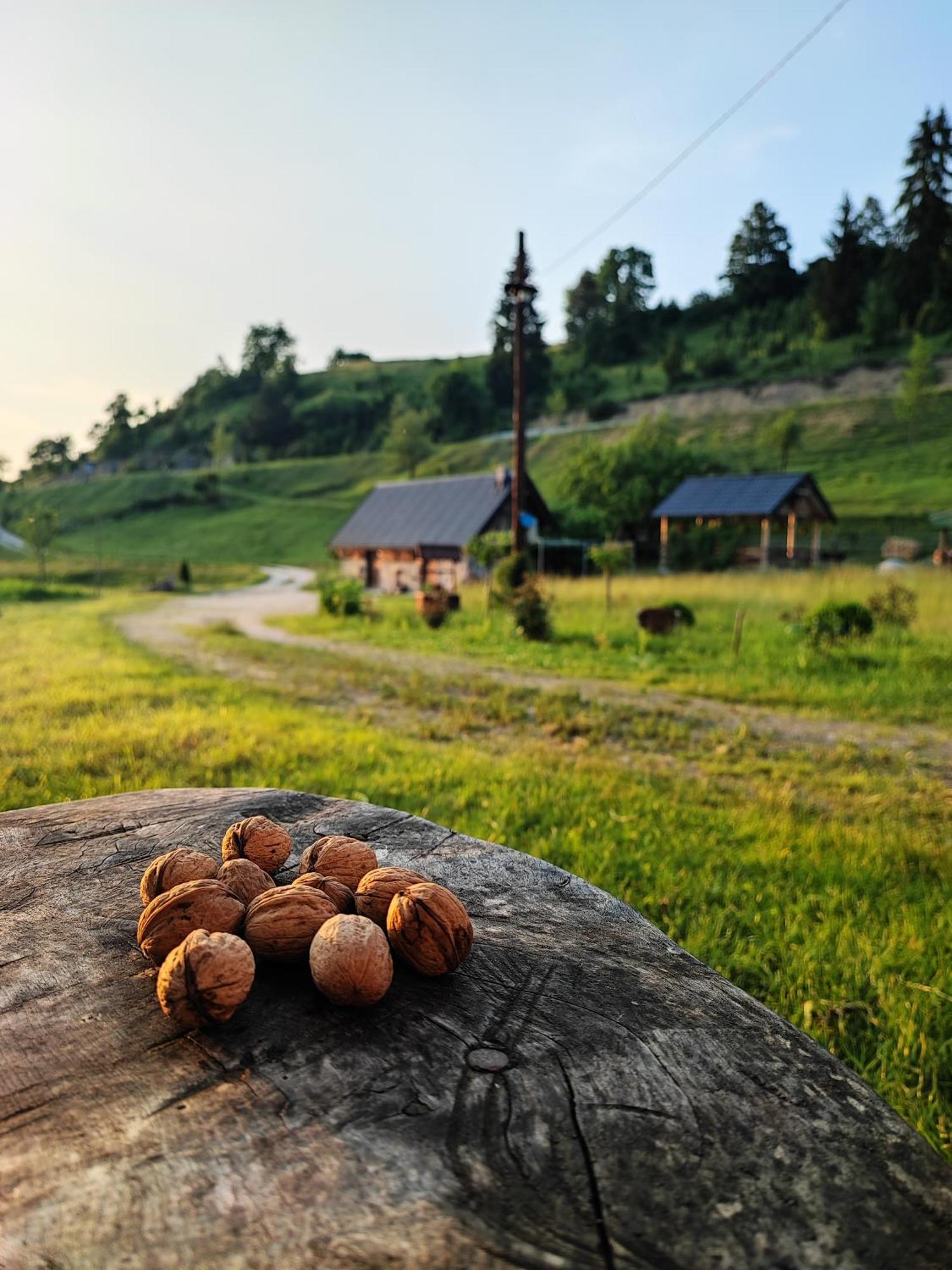 Hotel Etno Vodenica Cirovic - Ethno Watermill Pljevlja Exterior foto