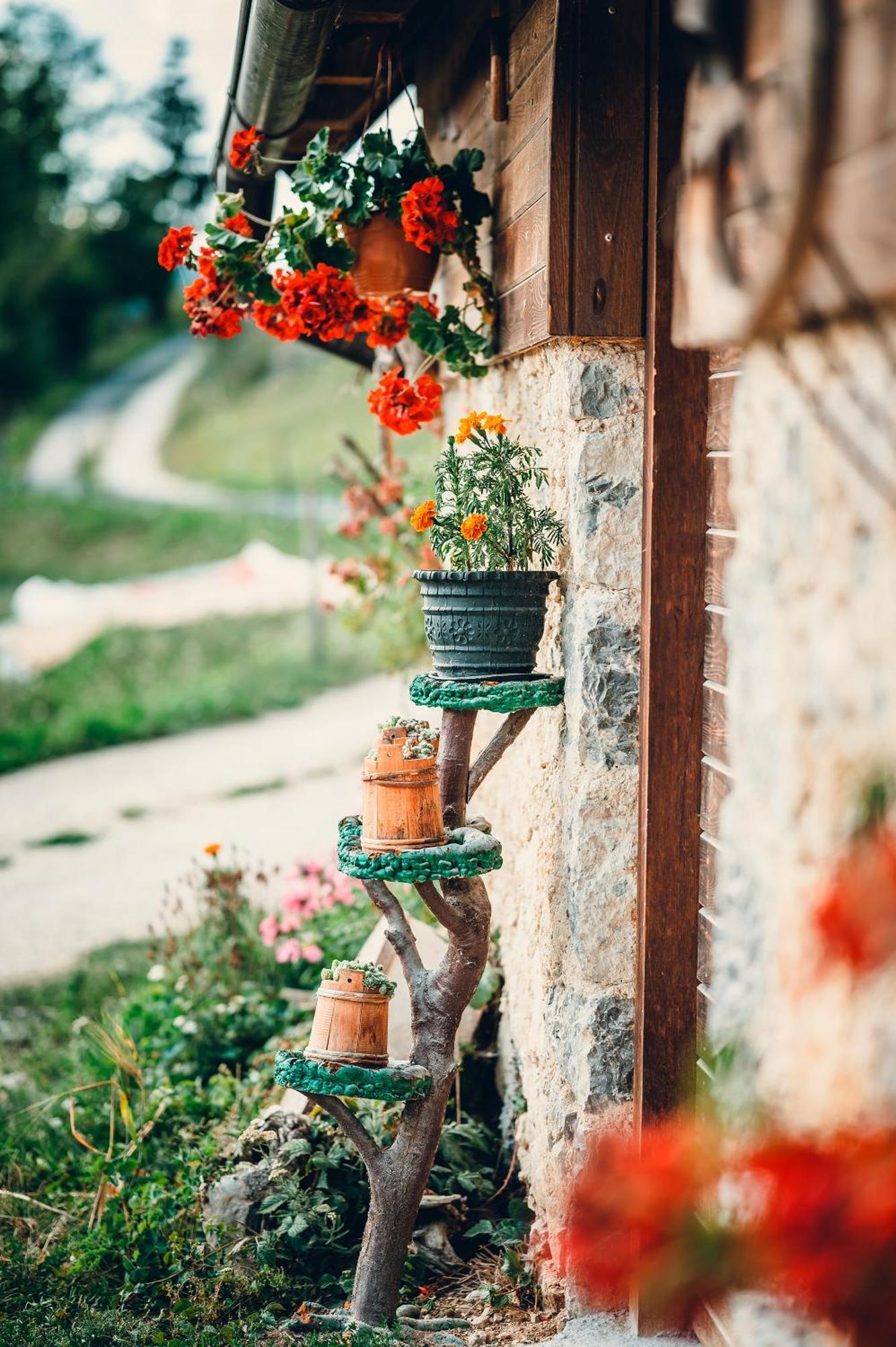 Hotel Etno Vodenica Cirovic - Ethno Watermill Pljevlja Exterior foto